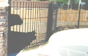 black iron fence
