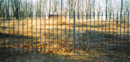 five foot tall ornamental iron fence