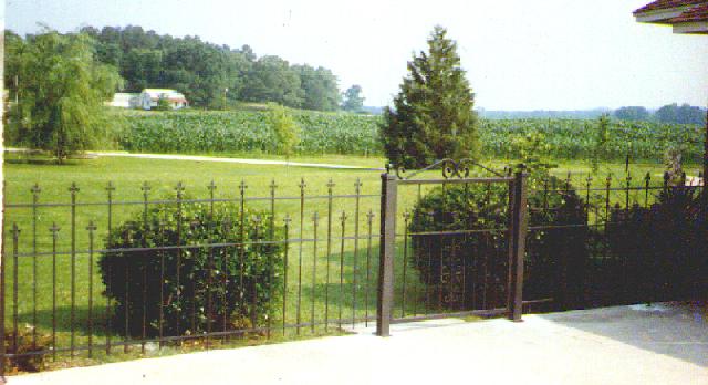 wrought iron fence and walkway gate