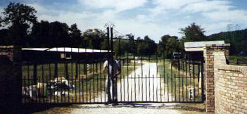 wrought iron driveway gate