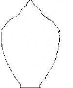 acorn replacement globes
