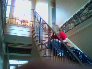 ornamental iron stair railing